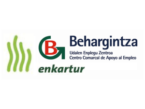 11 Behargintza Enkartur
