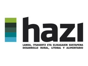 33 Hazi Colores
